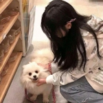 剑侠江湖传奇手机版下载